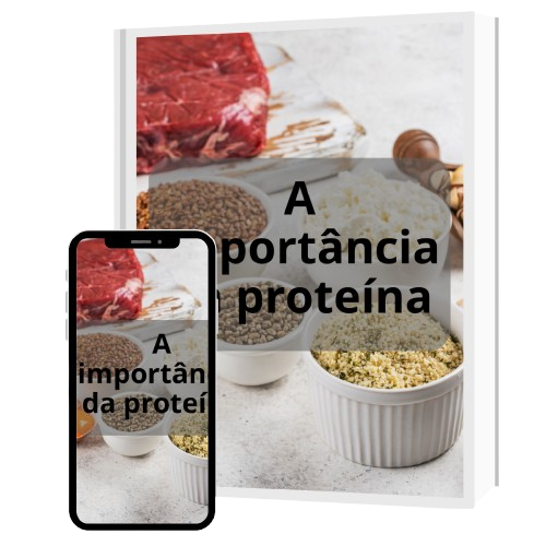Bonus 1: A importância da proteína